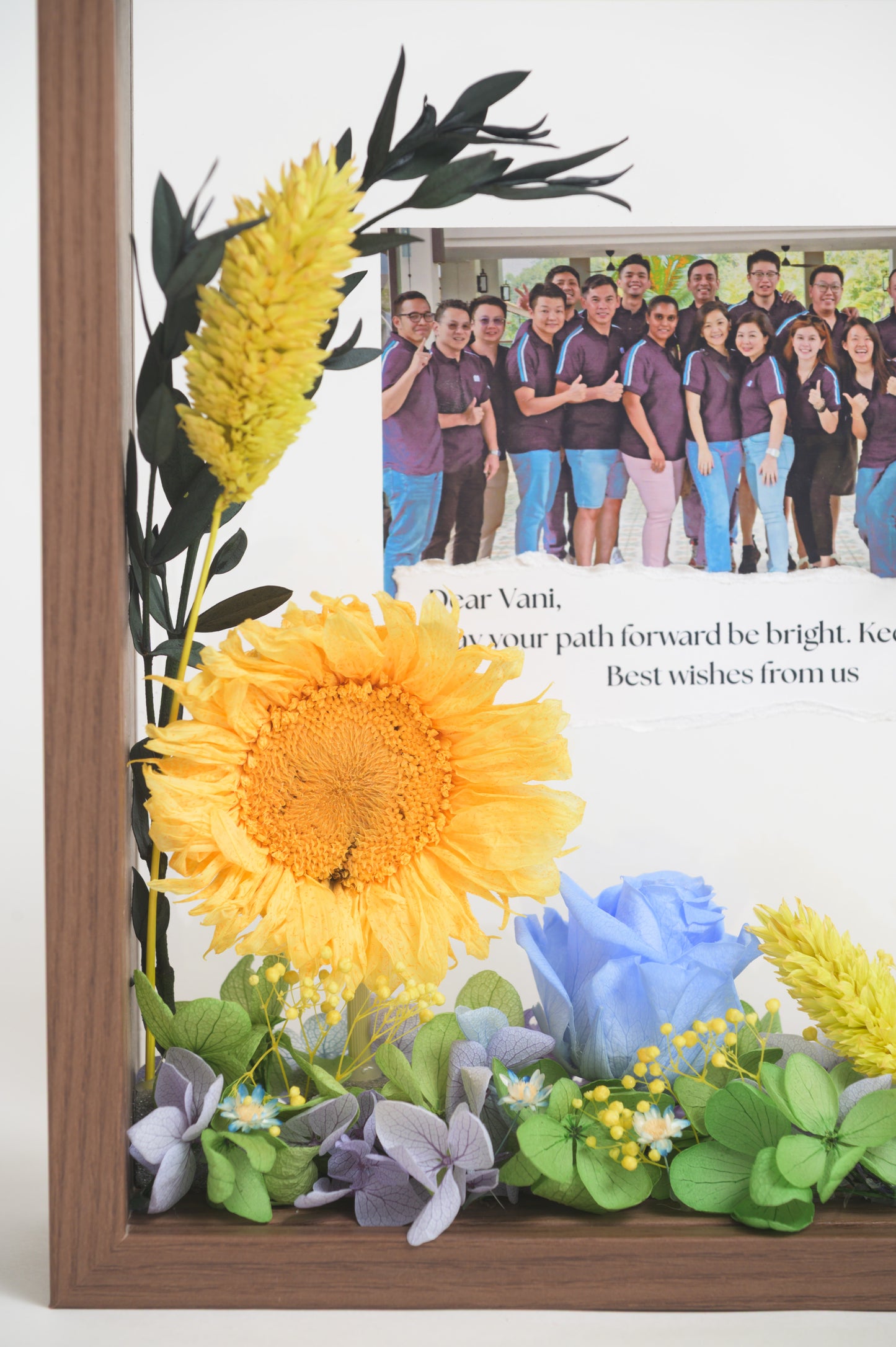 Congrats Sunflower